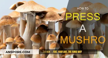Pressing Mushrooms: A Step-by-Step Guide to Success