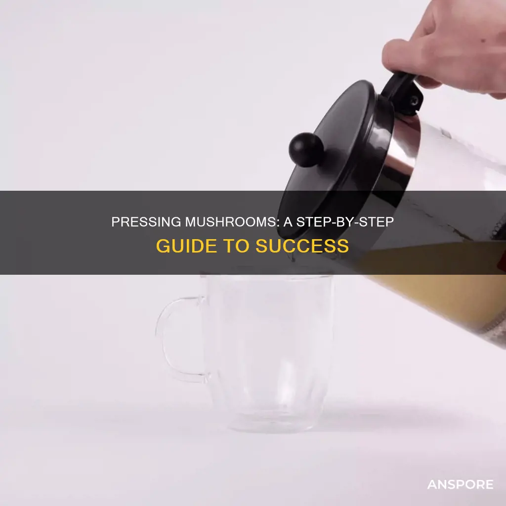 how to press a mushroom