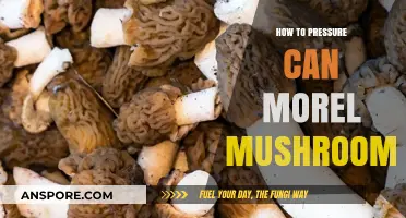 Master Pressure Canning Morel Mushrooms: A Step-by-Step Guide