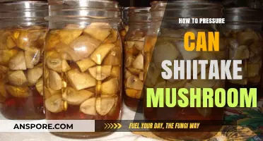 Pressure Canning Shiitake Mushrooms: A Step-by-Step Preservation Guide