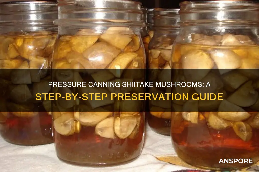 how to pressure can shiitake mushrooms