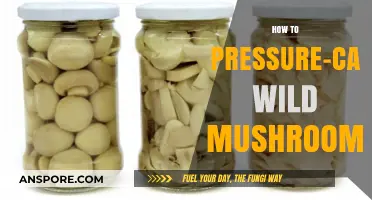 Safely Pressure-Can Wild Mushrooms: A Step-by-Step Preservation Guide