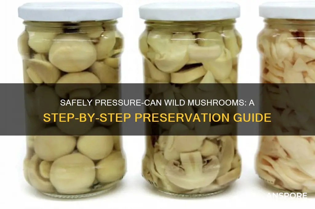 how to pressure-can wild mushrooms