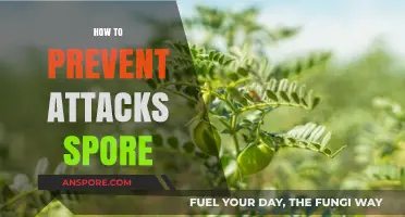 Effective Strategies to Prevent Spore Attacks and Ensure Safety