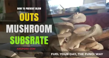 Preventing Blowouts in Mushroom Substrate: Essential Tips for Success
