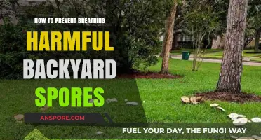 Prevent Harmful Backyard Spores: Breathe Easy with These Simple Tips