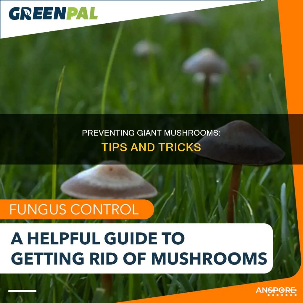 how to prevent huge mushrooms