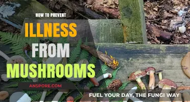 Safe Mushroom Foraging: Essential Tips to Avoid Illness and Stay Healthy