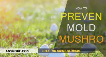 Preventing Mold Mushrooms: Tips for a Healthy Home