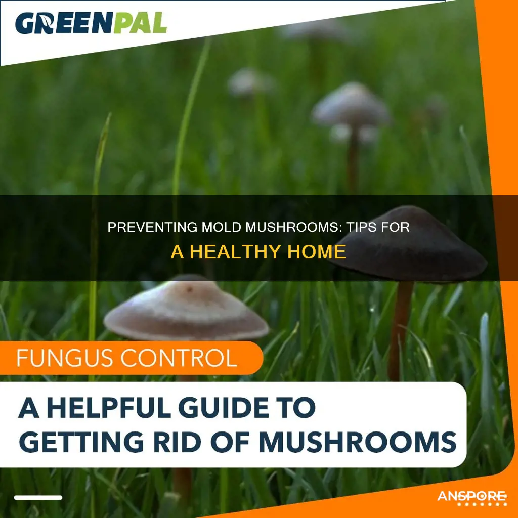 how to prevent mold mushrooms