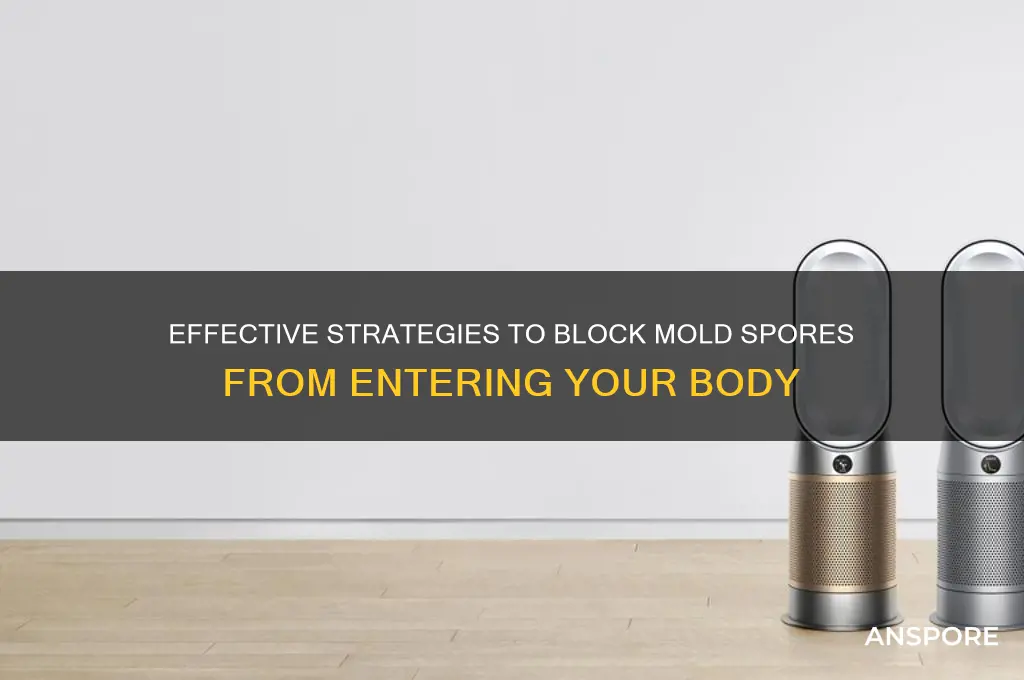 how to prevent mold spores from getting in the body