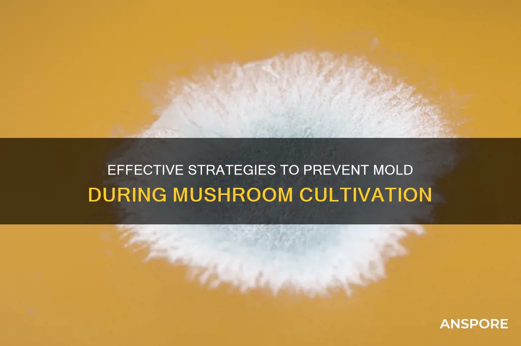 how to prevent mold while growing mushrooms