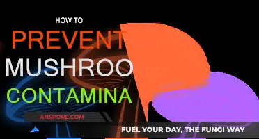 Preventing Mushroom Contamination: Tips for Success