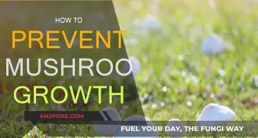 Preventing Mushrooms: Tips to Stop Unwanted Growth