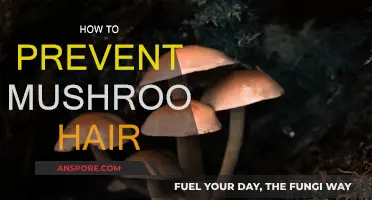 Prevent Mushroom Hair: Easy Tips for Healthy Locks