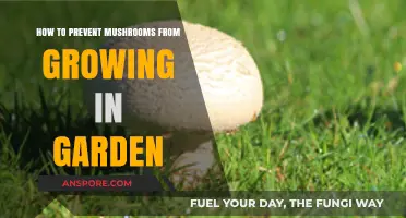 Effective Strategies to Stop Mushrooms from Taking Over Your Garden