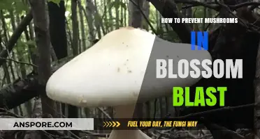 Effective Strategies to Prevent Mushrooms in Blossom Blast Saga
