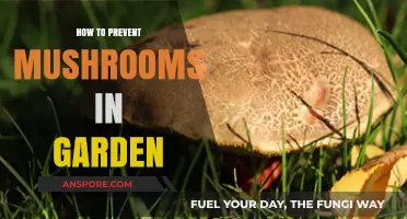 Effective Strategies to Keep Mushrooms Out of Your Garden