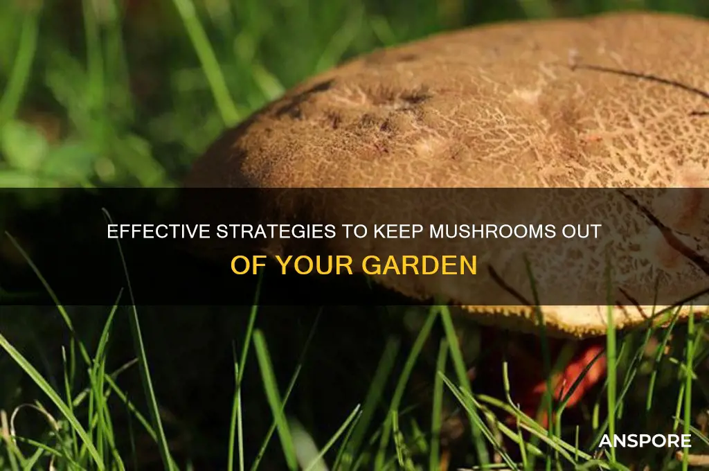 how to prevent mushrooms in garden