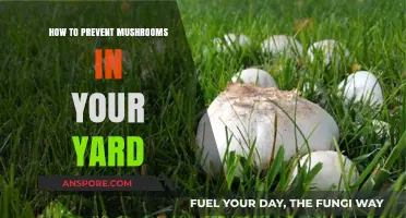 Effective Strategies to Keep Mushrooms from Taking Over Your Yard