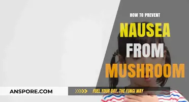 Effective Tips to Avoid Nausea When Consuming Mushrooms Safely