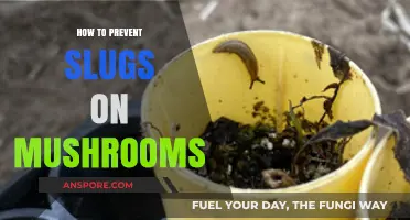 Effective Strategies to Keep Slugs Away from Your Mushroom Crop