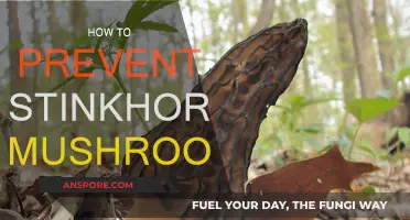 Eradicating Stinkhorn Mushrooms: A Comprehensive Guide