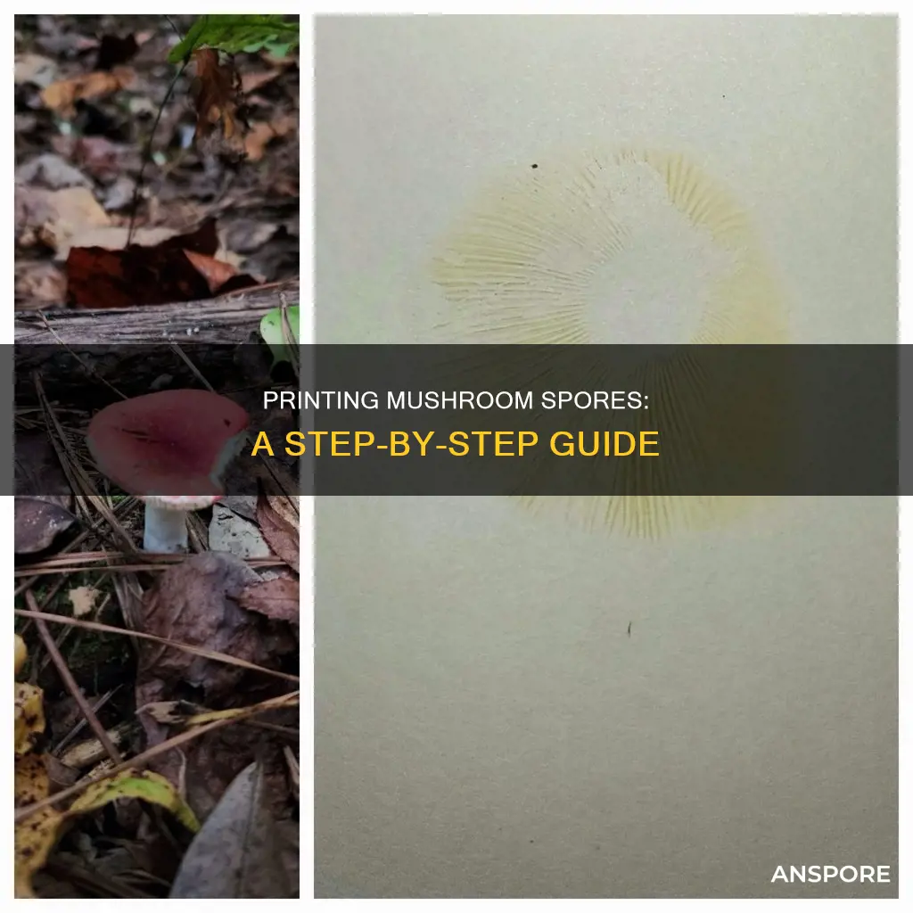 how to print mushroom spores