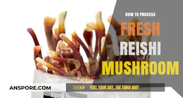 Harvest to Healing: A Guide to Processing Fresh Reishi Mushrooms