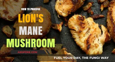 Mastering Lion's Mane Mushroom Processing: A Step-by-Step Guide