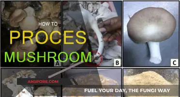 The Ultimate Guide to Processing Mushrooms
