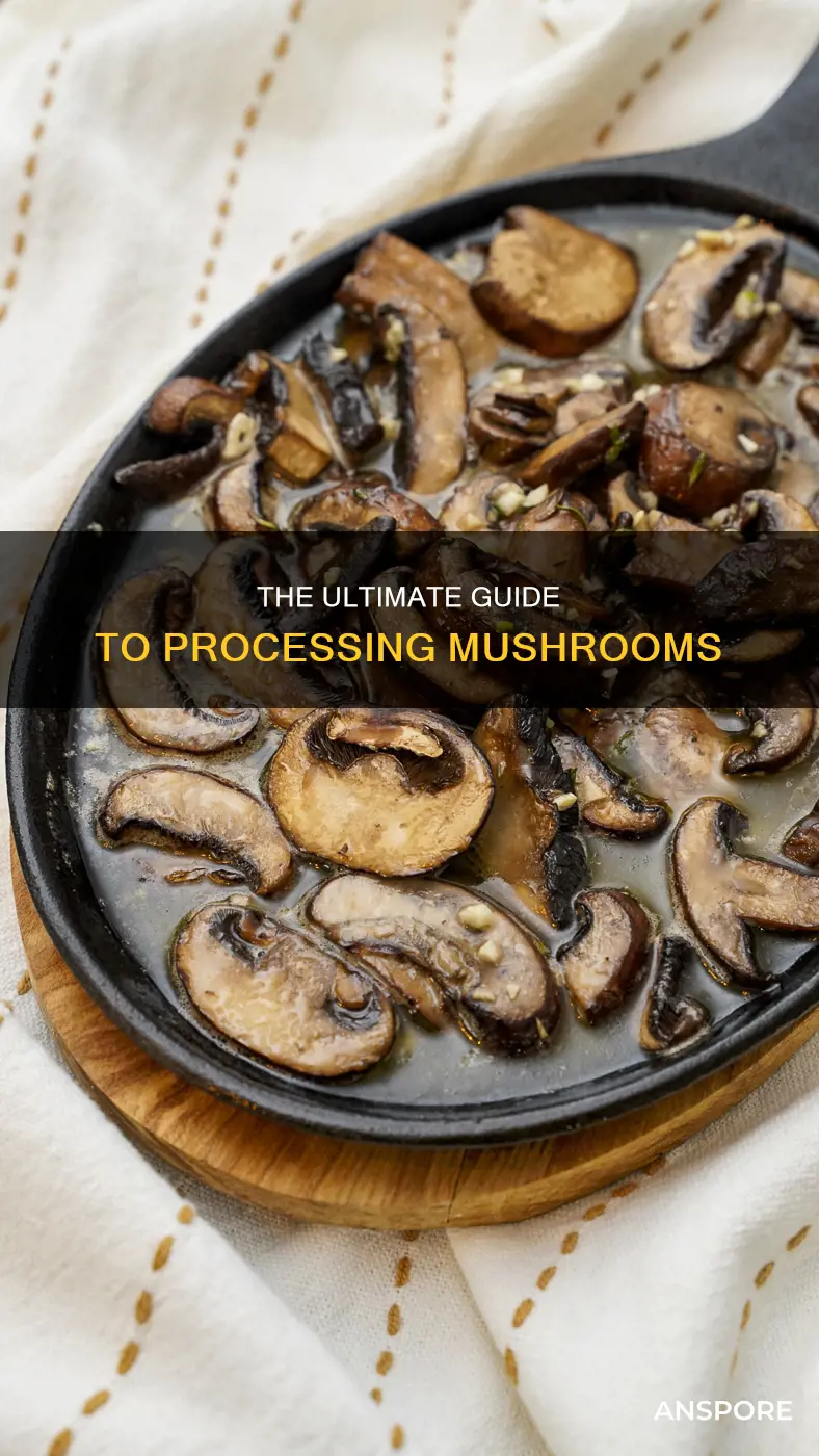 how to process mushroom