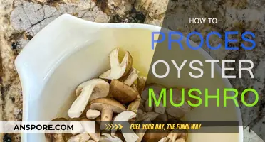 The Ultimate Guide to Processing Oyster Mushrooms