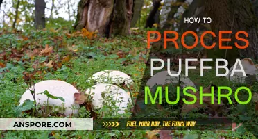 Processing Wild Puffballs: A Step-by-Step Guide