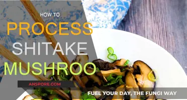 The Ultimate Guide to Preparing Shiitake Mushrooms