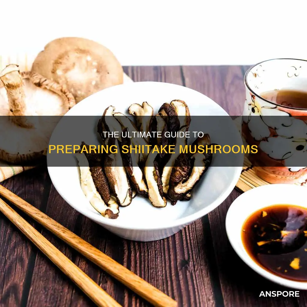 how to process shitake mushrooms