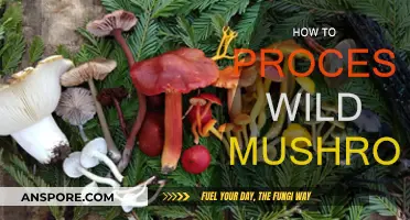 Foraging and Preparing Wild Mushrooms: A Beginner's Guide