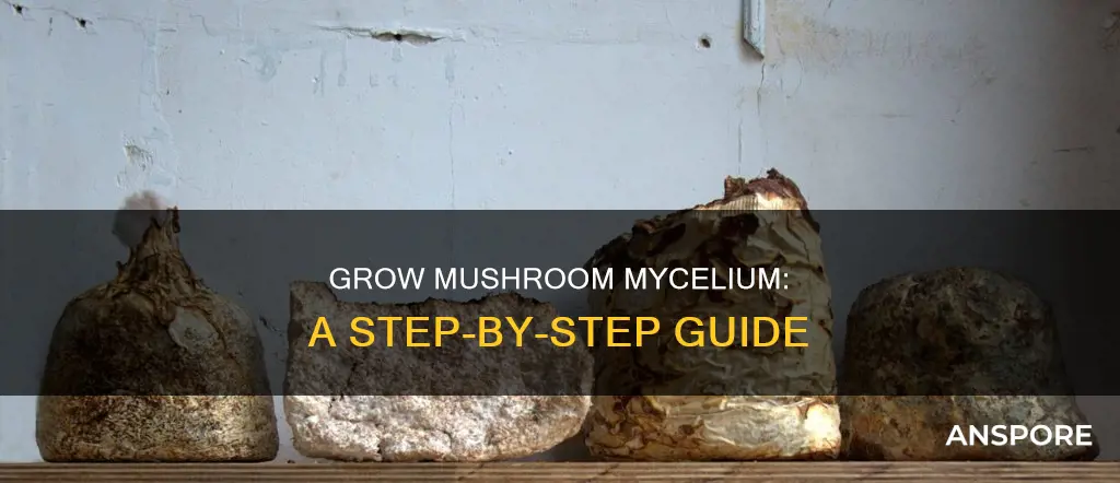 how to produce mushroom mycelium