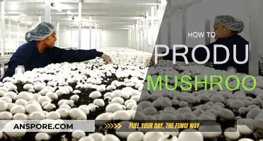 Grow Your Own Mushrooms: A Step-by-Step Guide