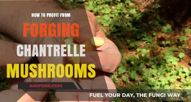 Profitable Forging: How to Safely Sell Chanterelle Mushrooms for Profit