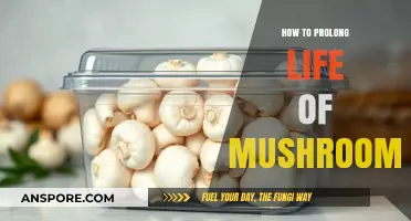 Maximize Mushroom Freshness: Simple Tips to Extend Their Shelf Life