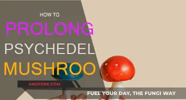 Prolonging Magic Mushrooms: Tips for Storage and Preservation