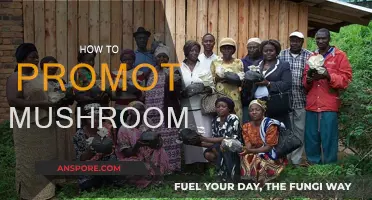 Mushroom Promotion: Strategies for Success