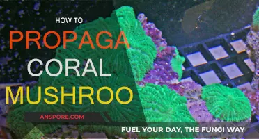 Coral Mushroom Propagation: A Step-by-Step Guide