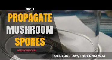 Mastering Mushroom Propagation: A Step-by-Step Guide to Growing Spores