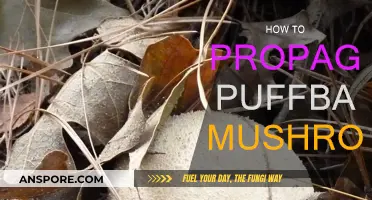 Propagating Puffballs: A Beginner's Guide to Mushroom Cultivation