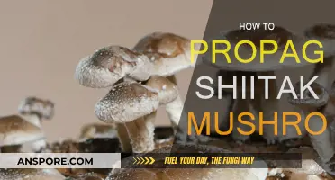 Propagating Shiitake Mushrooms: A Step-by-Step Guide
