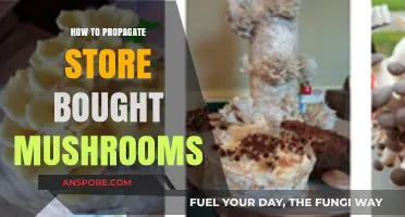 Easy Mushroom Propagation: Grow Store-Bought Fungi at Home