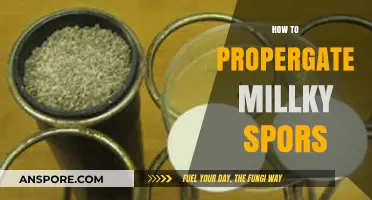 Mastering Milky Spore Propagation: A Step-by-Step Guide for Gardeners