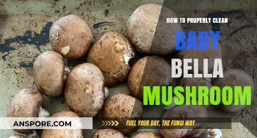 Mastering Baby Bella Mushroom Cleaning: A Step-by-Step Guide